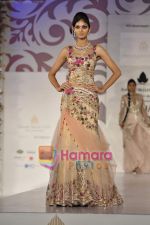 Model walks the ramp for Arjun Anjalee Kapoor for Aamby Valley India Bridal Week on 30th Oct 2010 (66).JPG